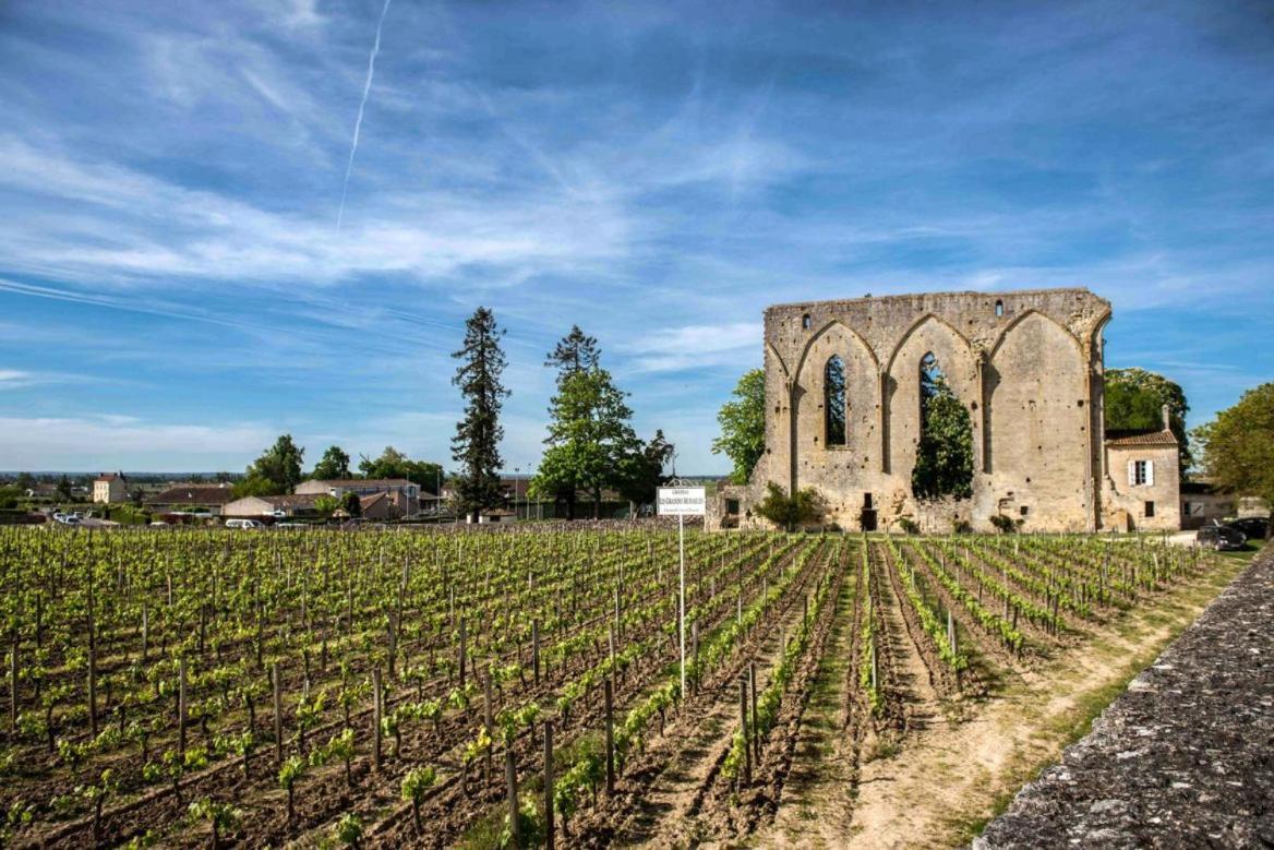 Maison Cosy Avec Vue Sur Les Vignes. 利布尔讷 外观 照片