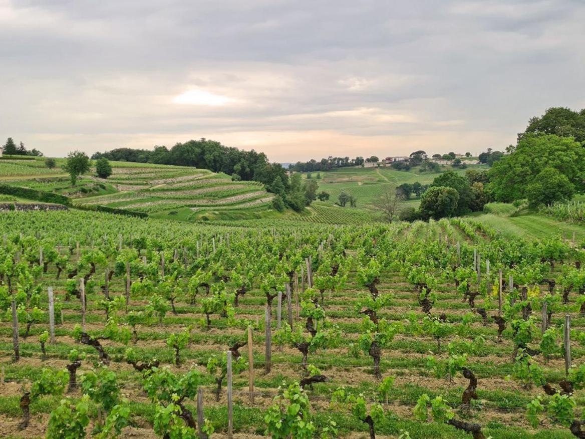 Maison Cosy Avec Vue Sur Les Vignes. 利布尔讷 外观 照片