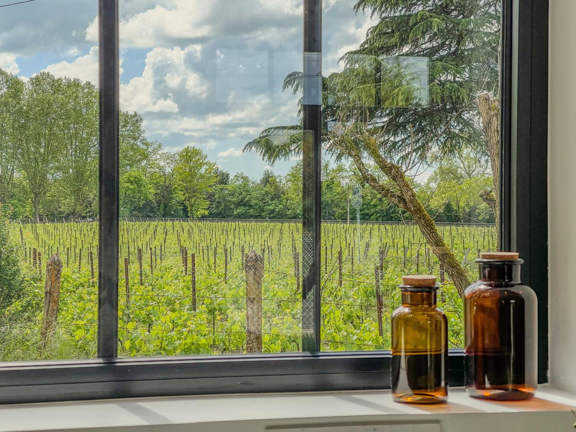 Maison Cosy Avec Vue Sur Les Vignes. 利布尔讷 外观 照片